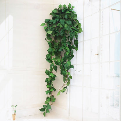 Suspension Murale Lierre Scindapsus Élégant