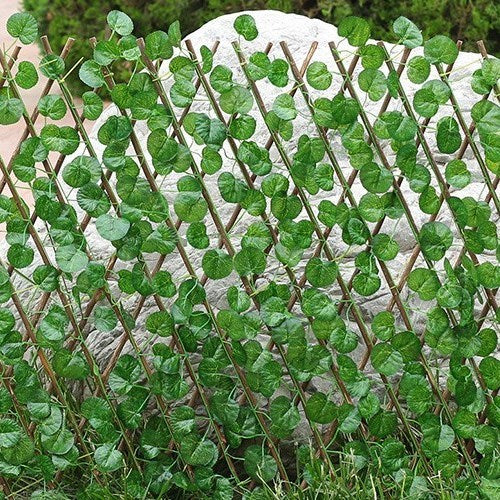 Clôture Extensible Feuillage Artificiel