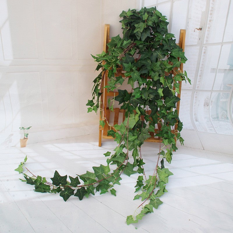 Suspension Murale Lierre Scindapsus Élégant